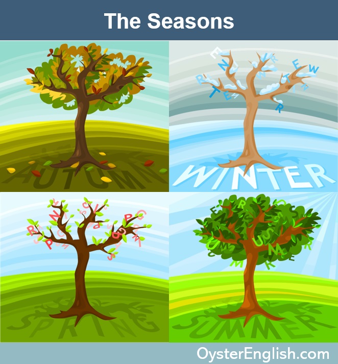 Image with 4 trees illustrating the four seasons, no leaves (winter), colored leaves on ground (fall), full leaves (summer), icicles on branches (winter)