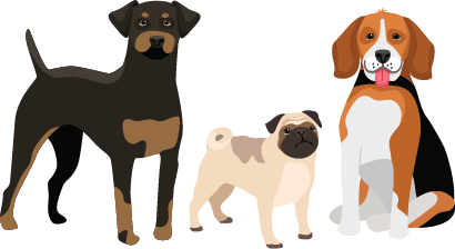 Illustration of 3 dogs: a pug, a beagle and a doberman