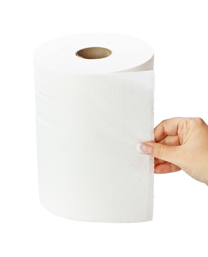 Roll of paper towels