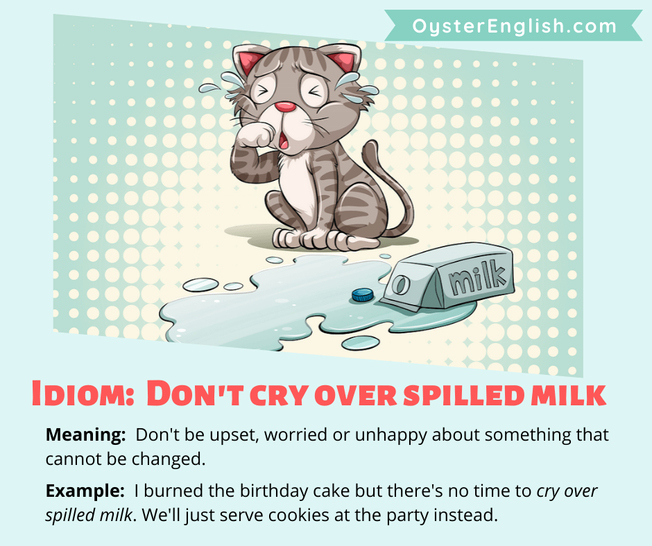 Definition, sentence example and image of a cat crying because a carton of milk has spilled on the floor to depict the idiom don't cry over spilled milk.