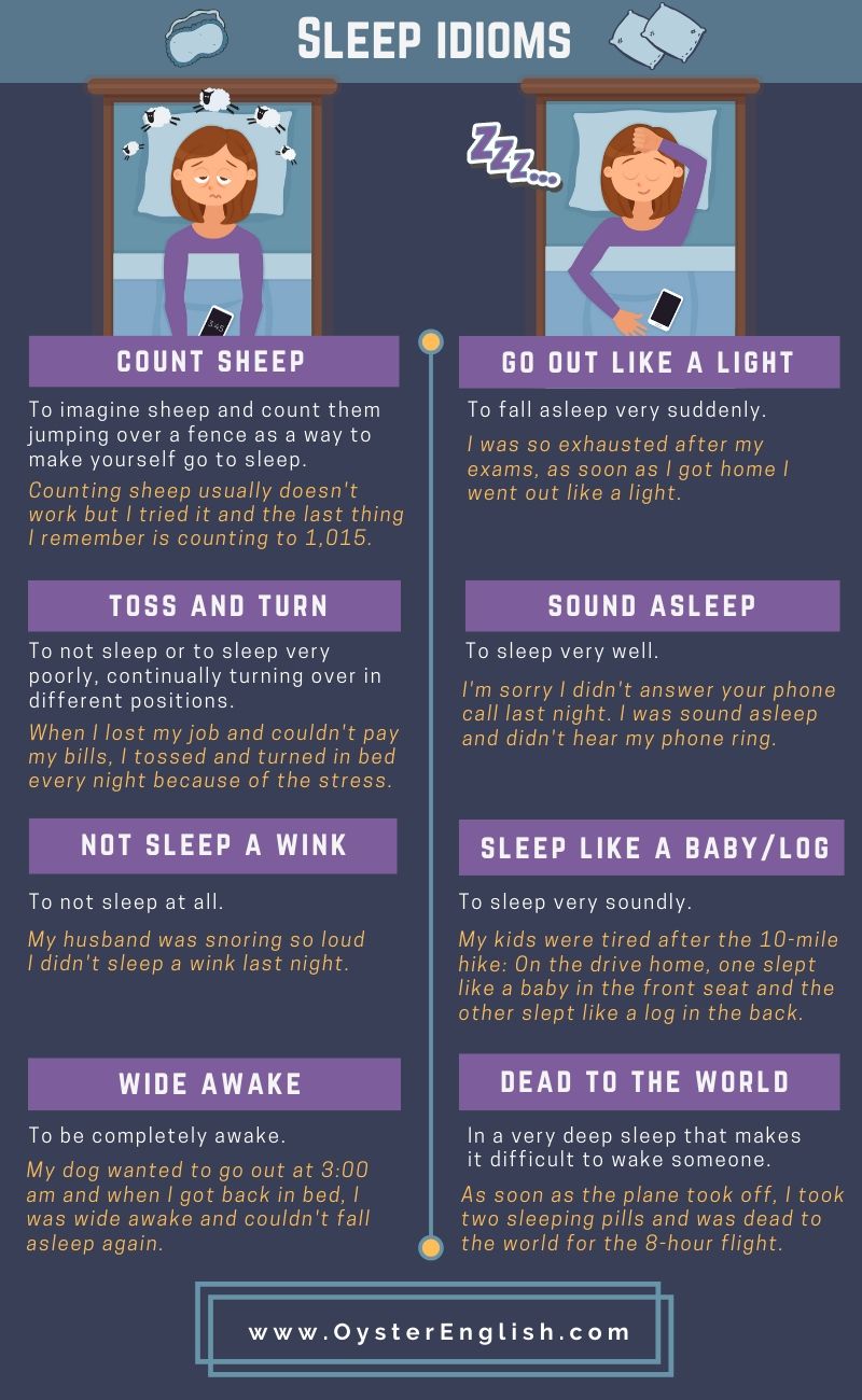 Learn sleep idioms : Infographic