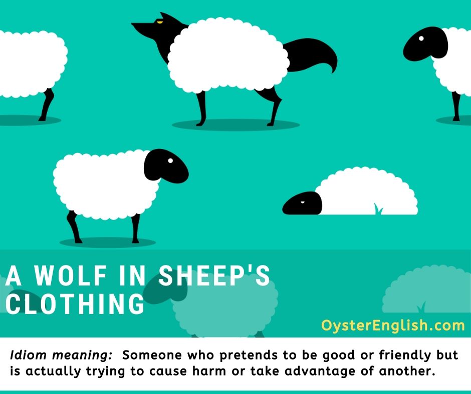 Wool: The Wolf in Sheep's Clothing