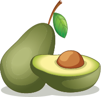 Illustration of an avocado