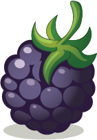 Illustration of a blackberry