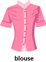 illustration of a blouse