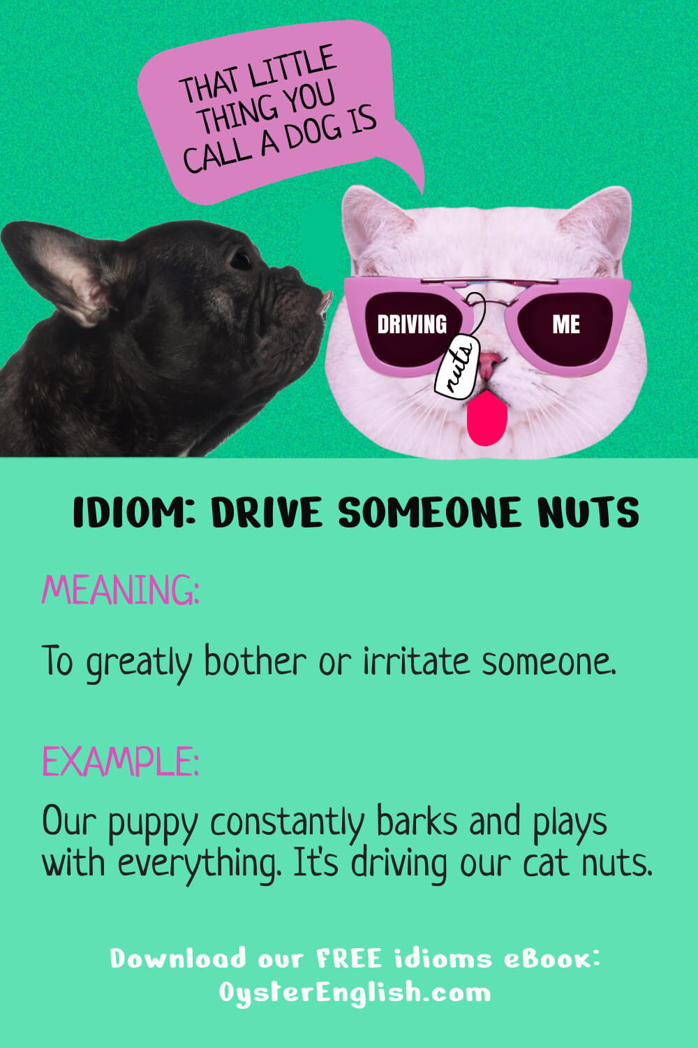 A dog is licking a cat on the face. The cat says, "That little think you call is dog is driving me nuts. Caption: Our puppy constantly barks and plays with everything. It's driving our cat nuts.