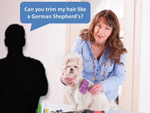 Man asking a woman grooming a dog: "Can you trim my hair like a German sheppard's?"