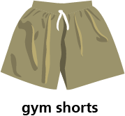 illustration of a pair of gym shorts