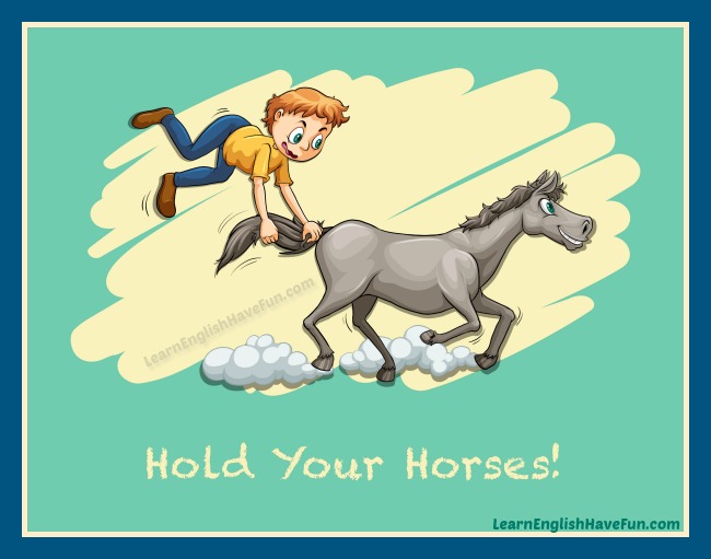 Idiom Hold your horses (meaning & examples)