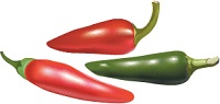 illustration of hot chili peppers