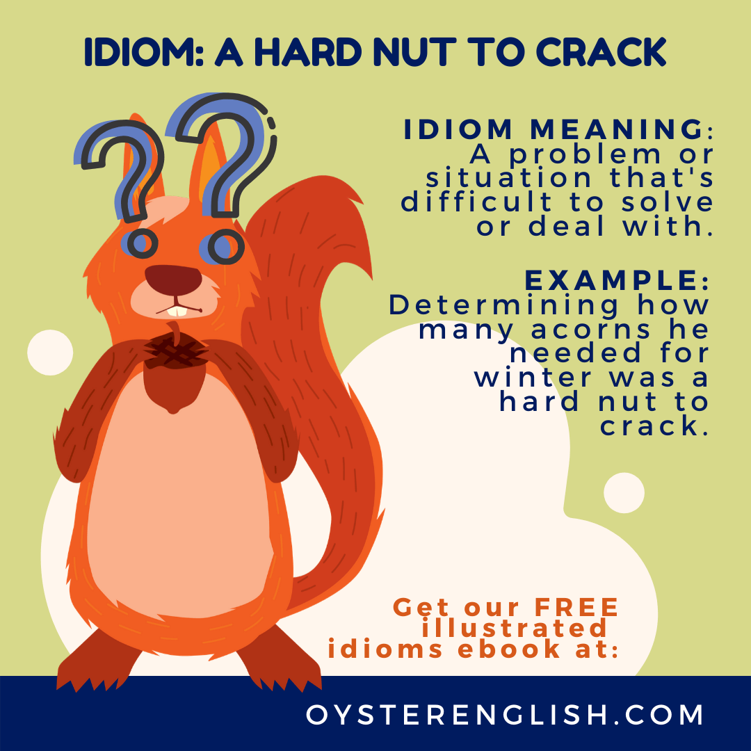 An illustration of a confused squirrel depicting the idiom "a hard nut to crack" with the definition and an example: Determining how many acorns he needed for winter was a hard nut to crack.