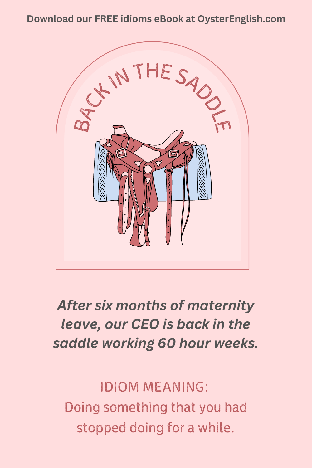 Idiom back in the saddle beans doing something you'd stopped doing for awhile. Picture of pink horse saddle. "After 6 months of maternity leave, our CEO is back in the saddle working 60 hour weeks."