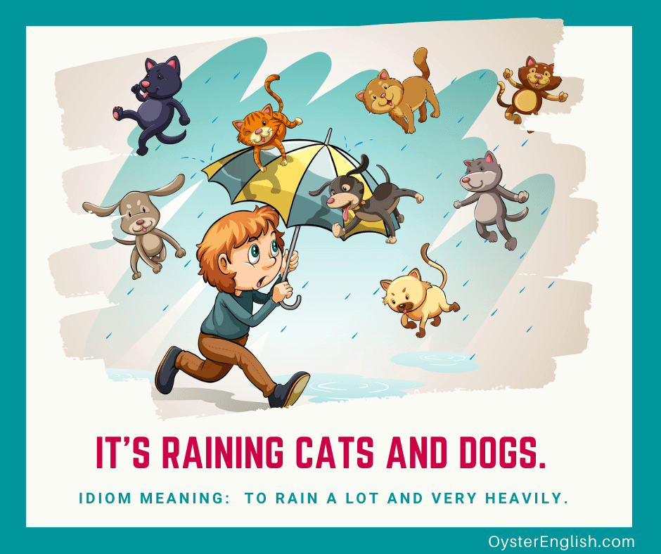 Illustration of a boy walking through the rain with his umbrella open and cats and dogs falling from the sky with the caption: It's raining cats and dogs (meaning: to rain a lot and very heavily)