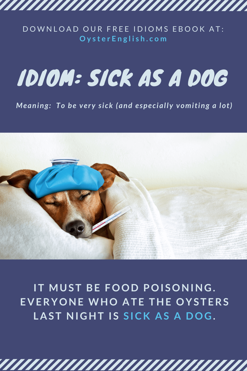 Picture of a sick dog in a bed with a water bottle on its head and a thermometer in its mouth. Example: It must be food poisoning. Everyone who ate the oysters last night is sick as a dog.