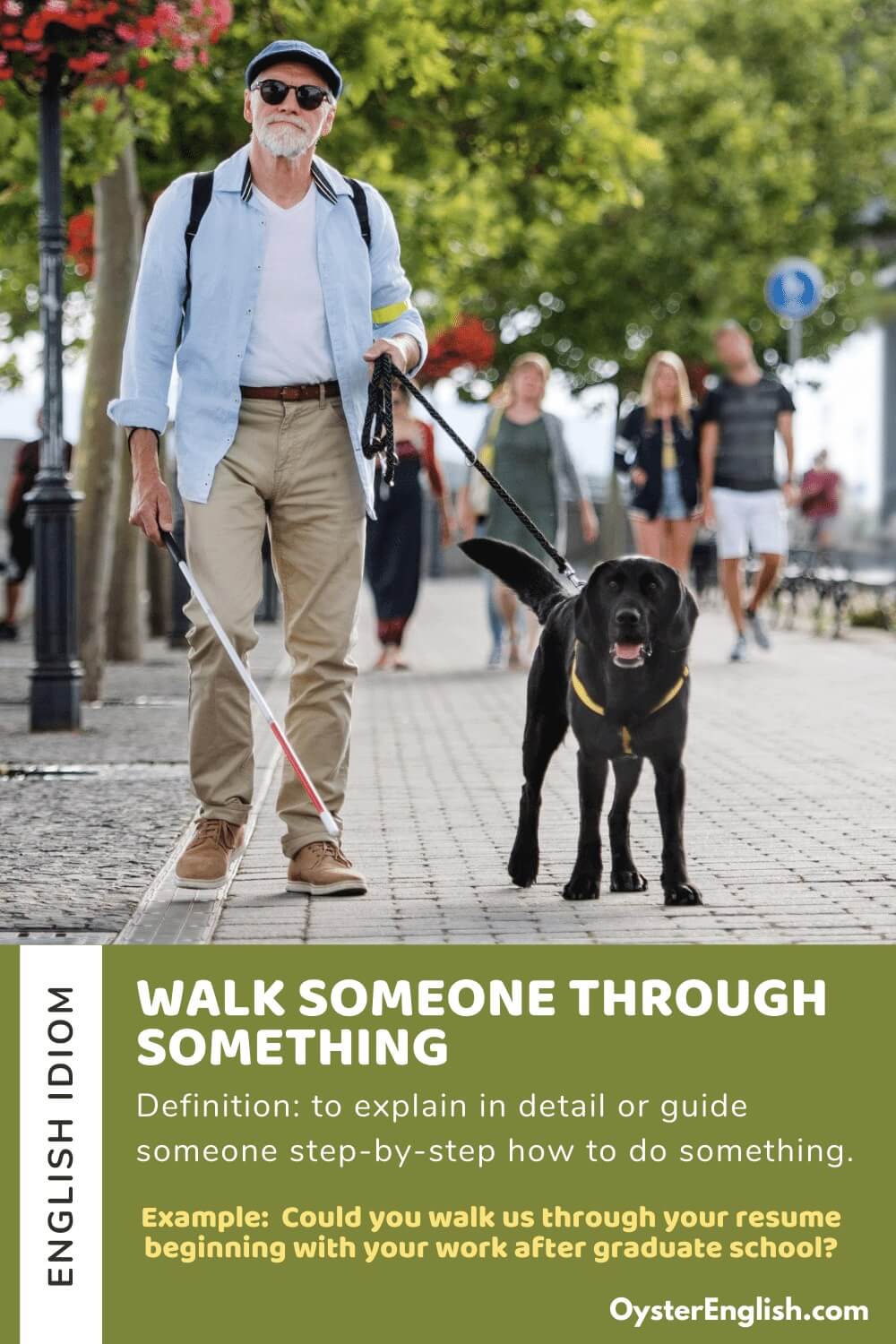 Guide dog is leading a blind man down the street with example and definition of idiom "walk someone through something"