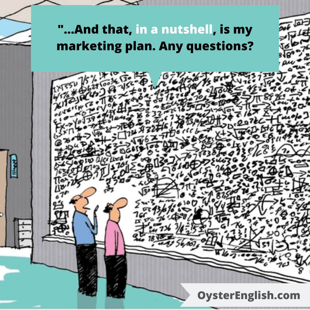 Cartoon of two businessmen standing in front of an enormous whiteboard that has an extremely complex formula. Caption: And that, in a nutshell, is my marketing plan. Any questions?