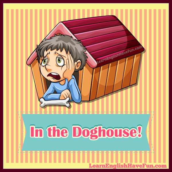 Idiom: In the doghouse (meaning \u0026 examples)