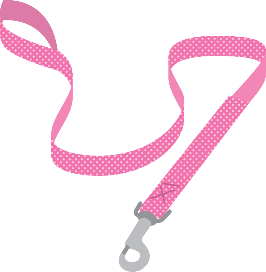 Illustration of a pet leash