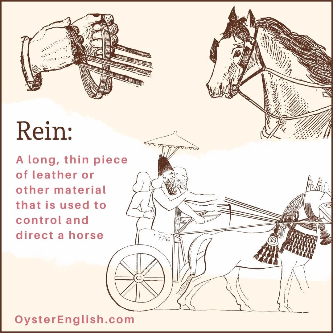 meaning of the reins