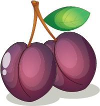 Illustration of plums