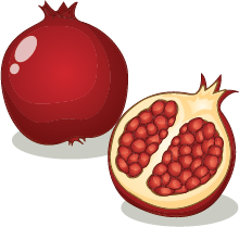 Illustration of a pomegranate