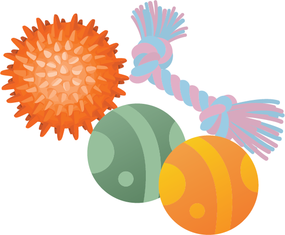 dog balls and a rope toy