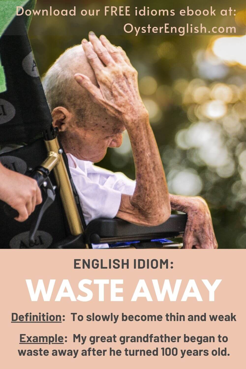 A very thin elderly man in a wheelchair: My great grandfather began to waste away after he turned 100 years old.
