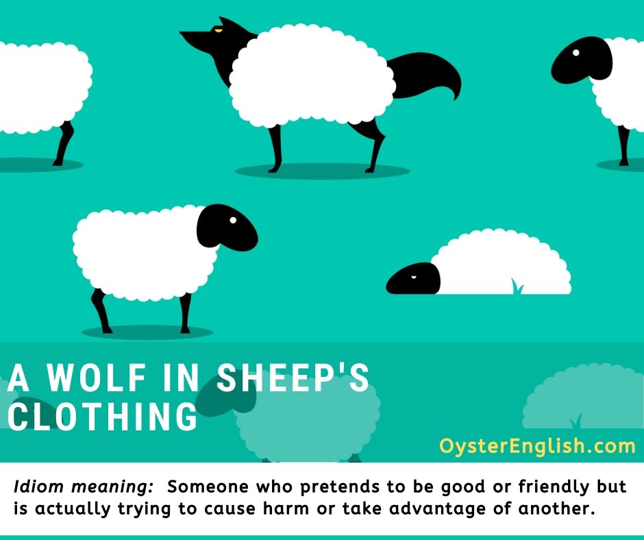 An illustration of a group of white sheep grazing in a field but one is actually a wolf dressed in sheep's clothing.