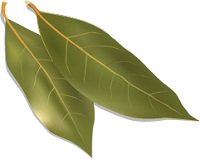 illustration of bay leafs