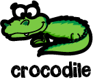 crocodile