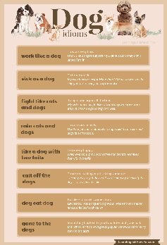 Thumbnail image of dog idioms infographic