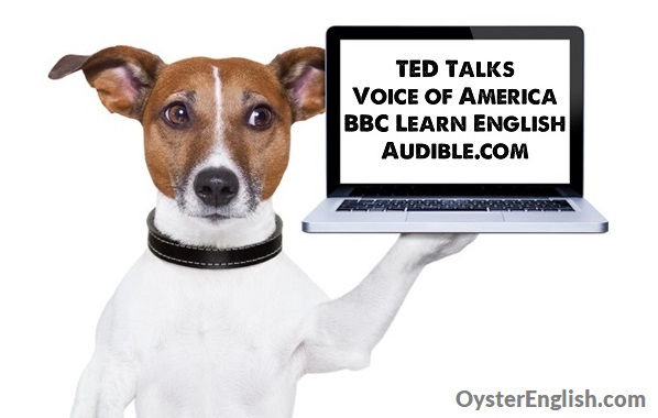 A dog holds a laptop that says: TED Talks, Voice of America, BBC Learn English, Audible.com