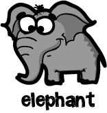 elephant