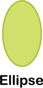 illustration of an ellipse shape