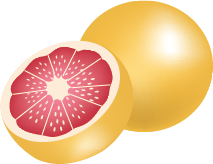 Illustration of a grapefruit