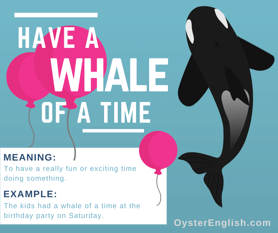 An image of a whale swimming in blue sea with pink balloons and the definition and a sentence example of the idiom "have a whale of a time."
