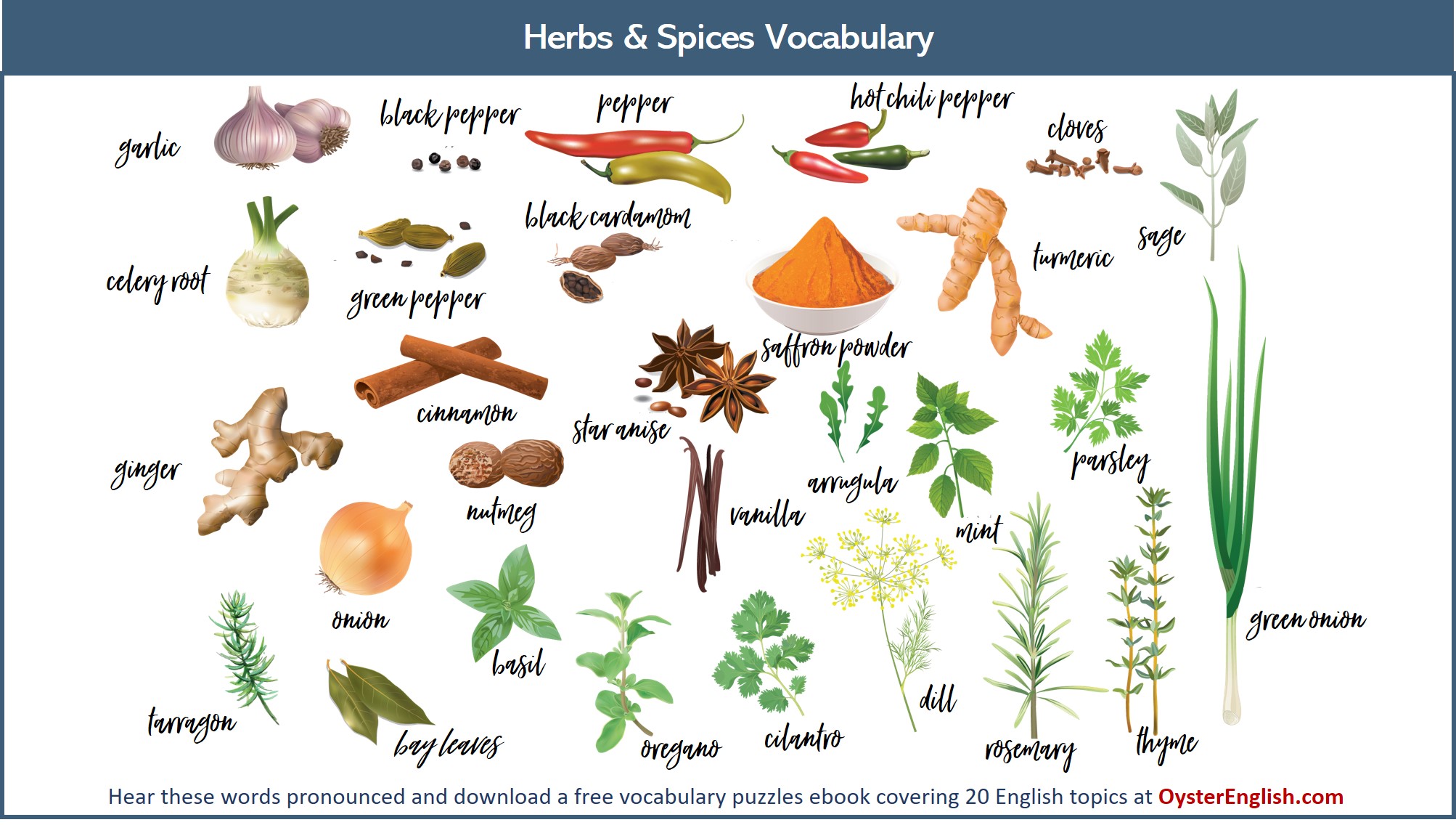 A collection of the illustration of the herbs and spices listed on this page.