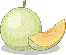 Illustration of a honeydew melon