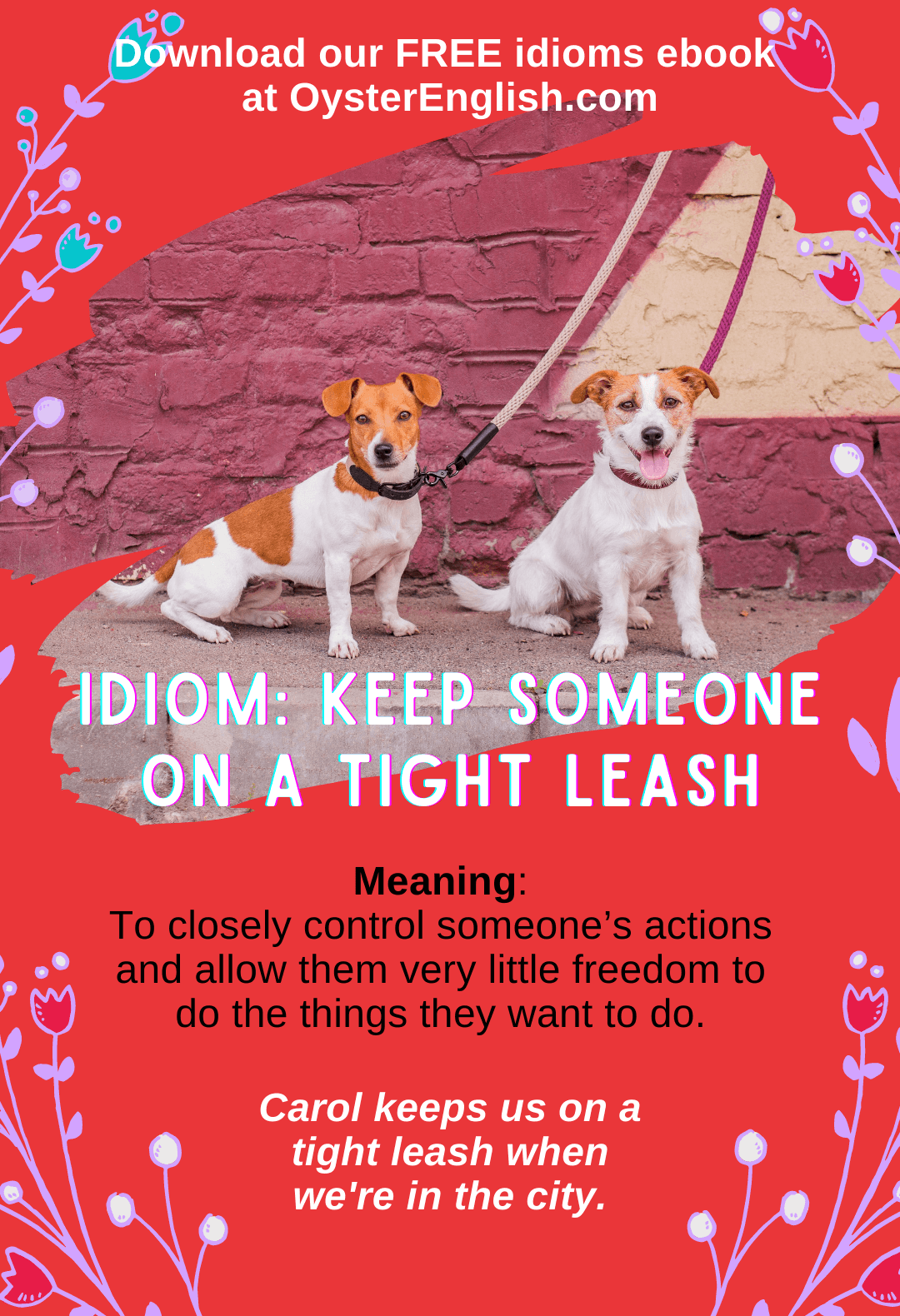 Two dogs are sitting outside and are tied up with leashes so they can't wander away: Carol keeps us on a tight leash when we're in the city.