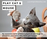 Thumbnail image: Play cat and mouse