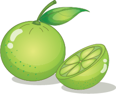 Illustration of a lime
