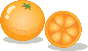 Illustration of an orange