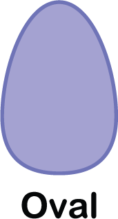 illustration of an oval shape