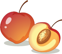 Illustration of a peach