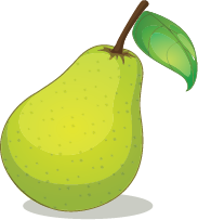 Illustration of a pear