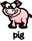 pig