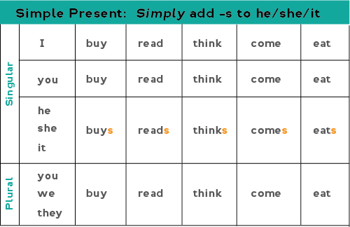 Chart showing how to form the present simple for regular verbs