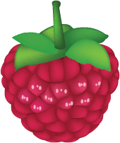 Illustration of a raspberry