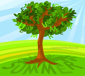 Tree full of green leaves illustrating the summer season.