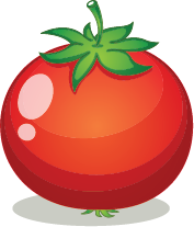Illustration of a tomato